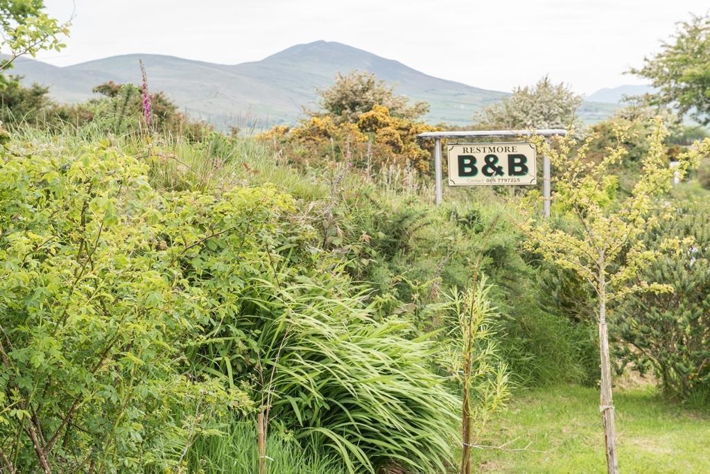 Restmore B&B Annascaul Экстерьер фото
